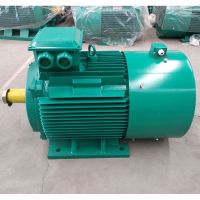 YZP280M-6級75KW起重及冶金變頻調速三相異步電機