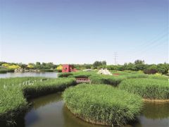 臨港濕地公園：“環?！薄邦佒怠奔嫒莶⑿?/></a>　　臨港生態濕地公園　　由天津港保稅區管委會作為執行機構的亞洲開發銀行貸款項目天津海河河口地區污染控制與生態恢復項目近期完成貸款賬戶清戶，其中，濕地生態恢復子項目建設了63公頃臨港生態濕地公園(一期)，具備污水處理、生態恢復和景觀...<a href=