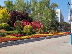 濟南天橋區黨建引領綠化先行 大力推進城市品質提升