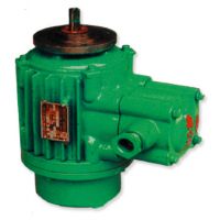成都起升電機(jī)高品質(zhì)