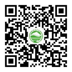 圖片 20